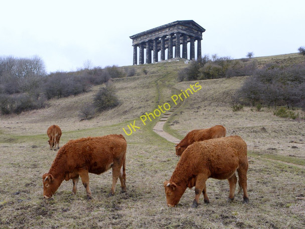 Photo 6"x4" Penshaw Monument Offerton\/NZ3455 c2010
