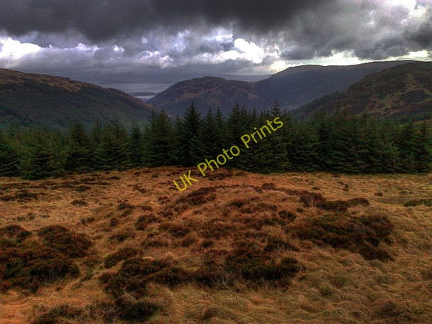 Photo 6"x4" Open Moorland and Treeline above Rhonadale Beinn Bhreac\/NR7538 c2010