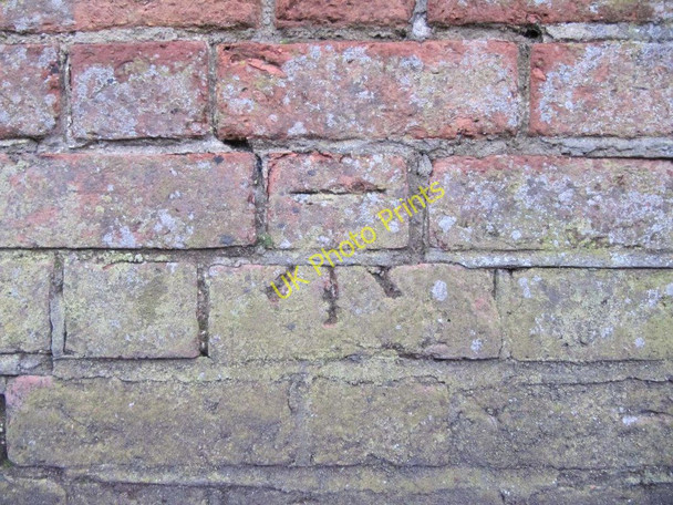 Photo 6"x4" Bench mark on the wall Cholsey c2010
