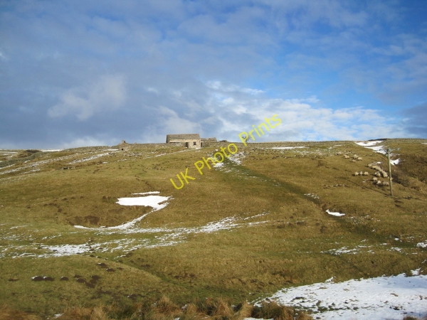 Photo 6"x4" Moorland near Bell House Newbiggin\/NY9127 c2010