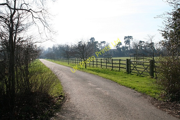 Photo 6"x4" The Driveway to Hanley Hall Hanley Swan c2008