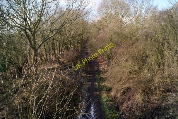 Photo 6"x4" The Flitch Way Takeley c2010