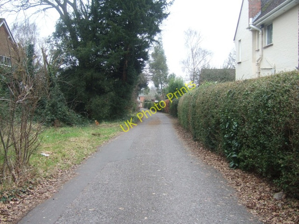 Photo 6"x4" Deepdene Park, Exeter Exeter c2010
