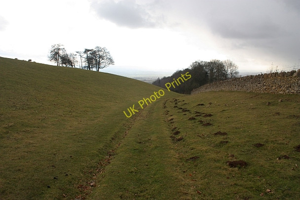 Photo 6"x4" Bridleway from Shalden Farm Conderton c2010