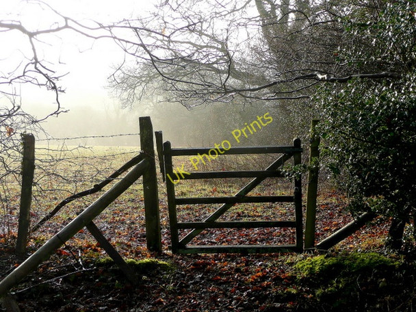 Photo 6"x4" Fritham gate and field Fritham c2010