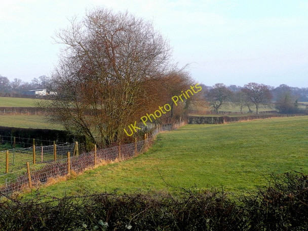 Photo 6"x4" Fritham fields 2 Fritham c2010