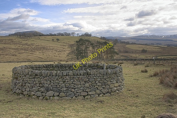 Photo 6"x4" Redmire Farm Sheepfold Mungrisdale c2010