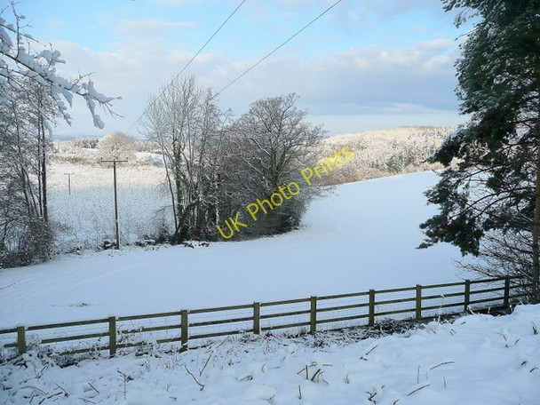 Photo 6"x4" Wintery prospect King's Thorn c2010