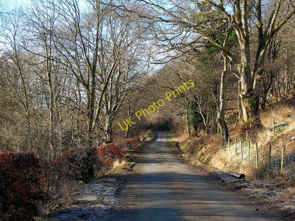 Photo 6"x4" Frosty Morning Heronsford c2010