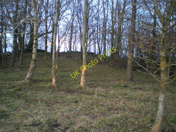 Photo 6"x4" Cowlow tumulus Cowlow\/SK0972 c2010