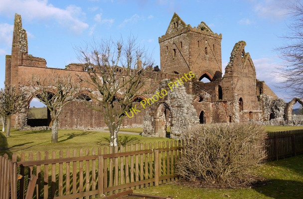 Photo 6"x4" Sweetheart Abbey New Abbey c2010