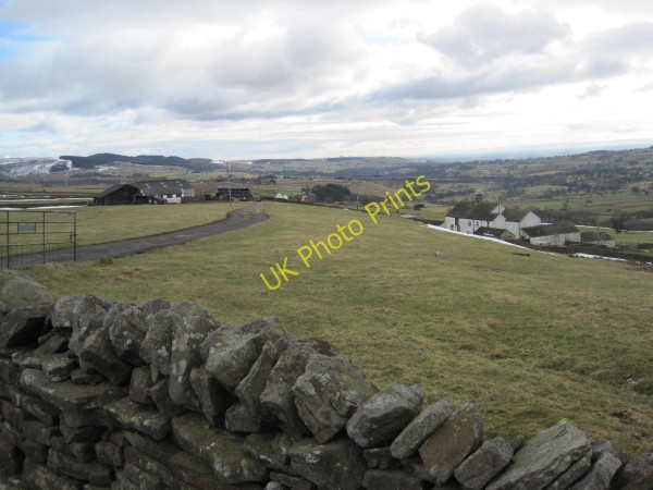 Photo 6"x4" Track Leading to Blunt House Farm High Dyke\/NY9525 c2010