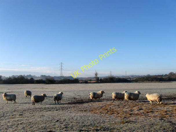 Photo 6"x4" Front Marsh Rickney c2010