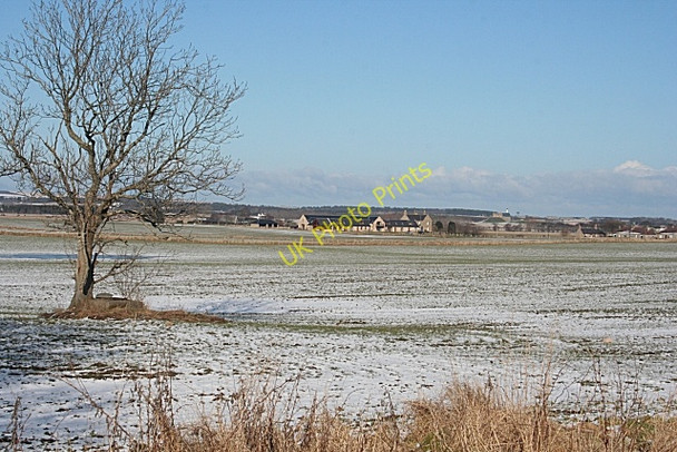 Photo 6"x4" Near Loanhead Quarrywood c2010