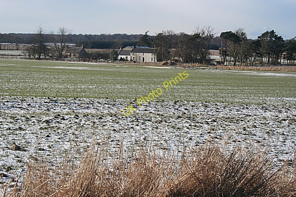 Photo 6"x4" Wester Kintrae Quarrywood c2010