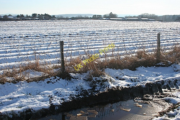 Photo 6"x4" Field by the Lane to Duffus Covesea c2010