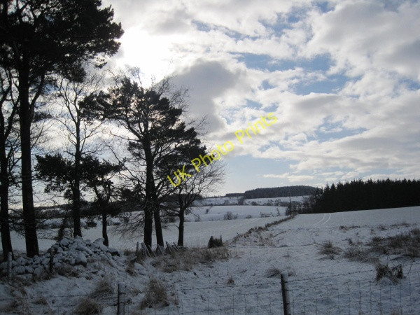 Photo 6"x4" View towards the Warks Burn Valley Wark\/NY8677 c2010