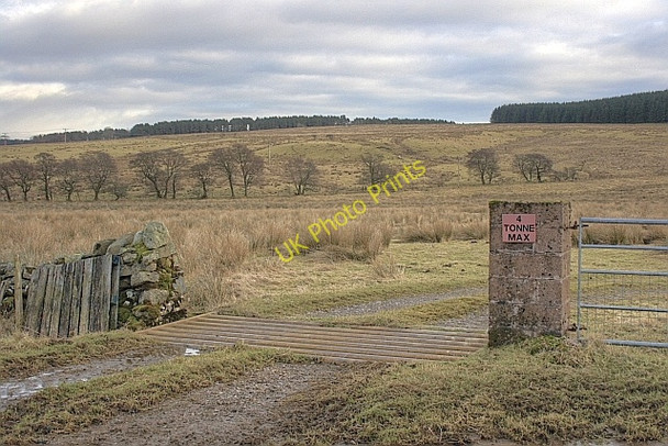 Photo 6"x4" Cattle Grid Whitbarrow Village c2010