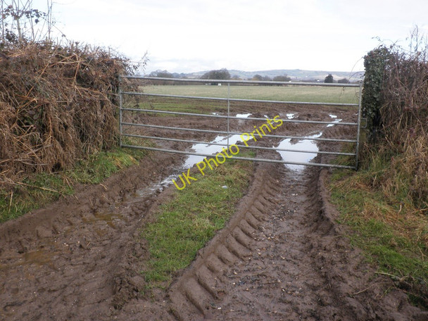 Photo 6"x4" Muddy gateway, near Bussells Farm Brookleigh c2010