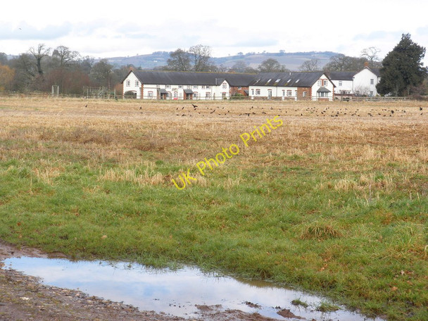 Photo 6"x4" Looking across the fields, towards Bussells Farm Brookleigh c2010