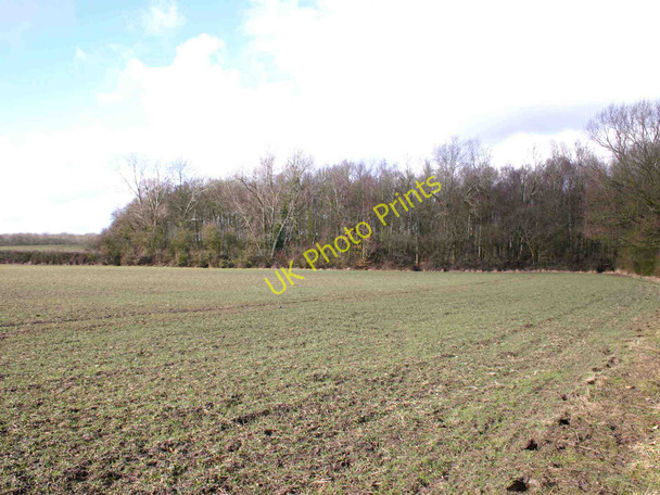 Photo 6"x4" Jubilee Covert from the footpath to Beecham Farm Alderminster c2010