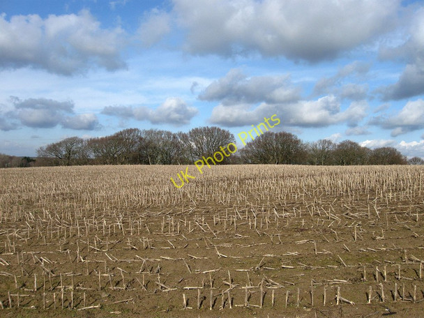 Photo 6"x4" Nine Acres (1) Hankham c2010