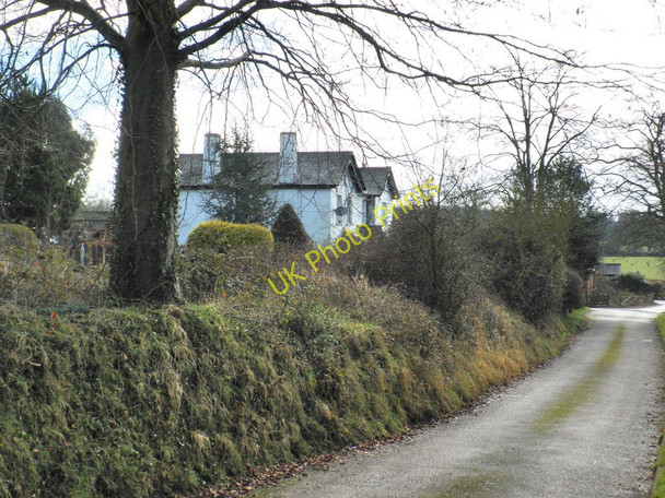 Photo 6"x4" Rewe Court Columbjohn c2010