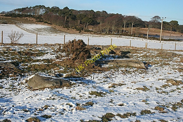 Photo 6"x4" Cup and Ring Marked Rocks Backlands c2010