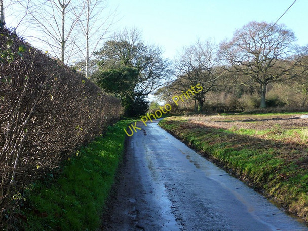 Photo 6"x4" Bend in Dumpford Lane Dumpford c2009