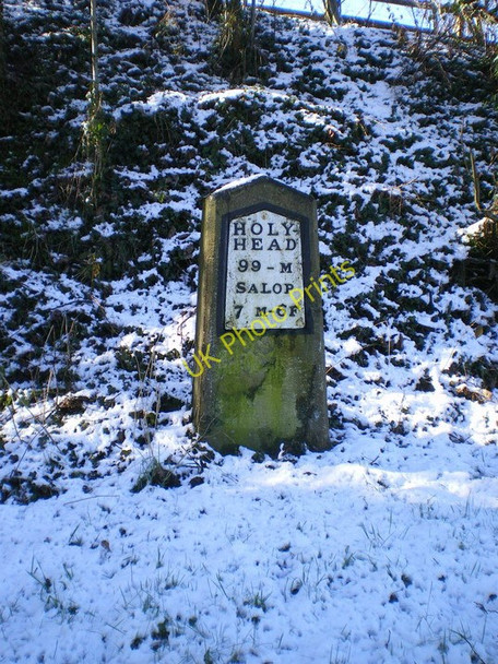 Photo 6"x4" The Great Ness milestone - detail Great Ness c2010