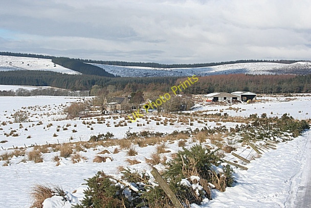 Photo 6"x4" Newton of Edingight Knockbog c2010