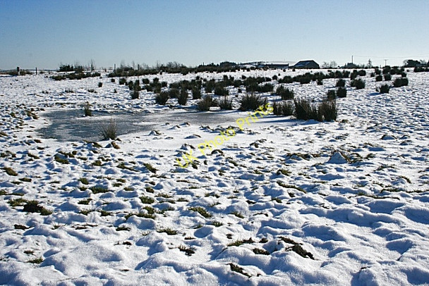 Photo 6"x4" Frozen Bog Finnygaud c2010
