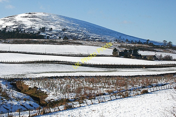 Photo 6"x4" Yonderton of Knock Glenbarry c2010