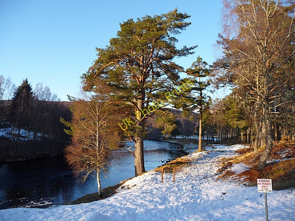 Photo 6"x4" Bridge Pool Dalchreichart c2010