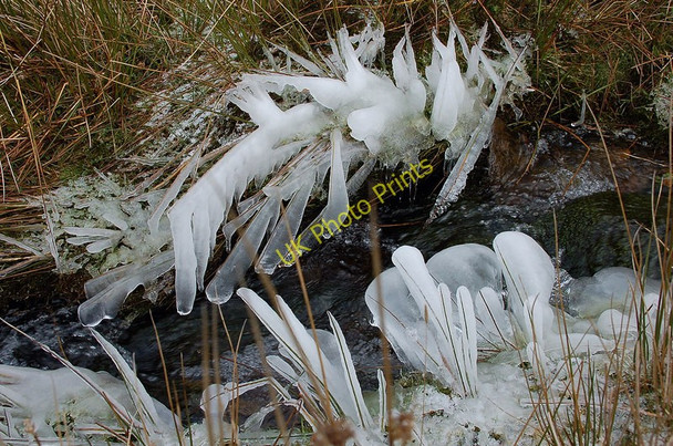 Photo 6"x4" Ice on the grass, Juniper Burn Hundleshope c2010