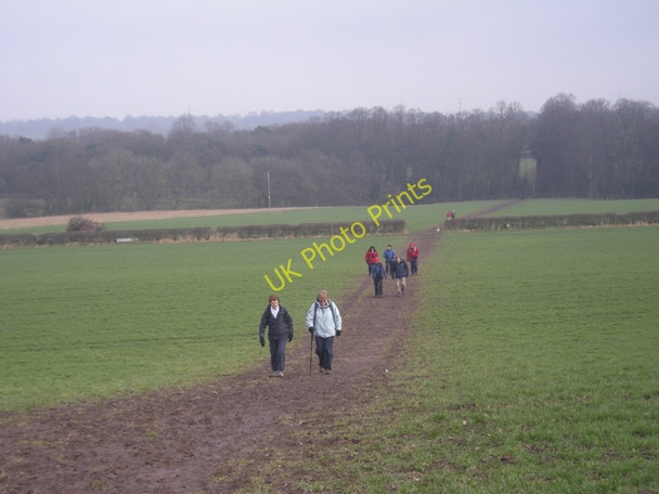 Photo 6"x4" Path above Cogshall Brook Anderton\/SJ6475 c2010