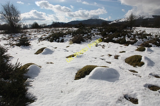 Photo 6"x4" Ant hills on Castlemorton Common Marl Bank c2010