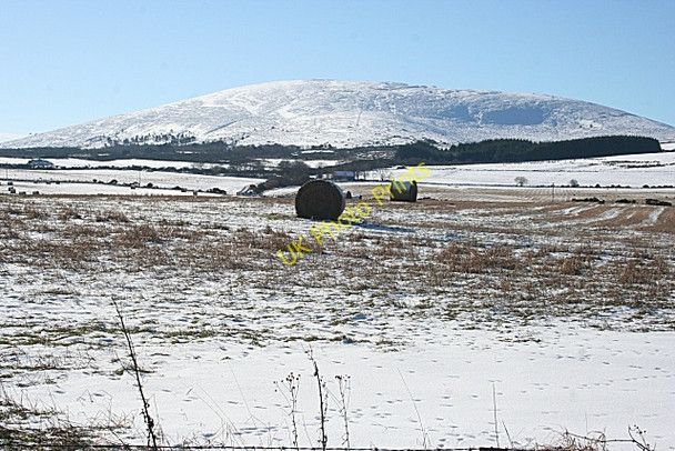 Photo 6"x4" Looking towards Knock Hill from Begburn Gordonstown\/NJ5656 c2010