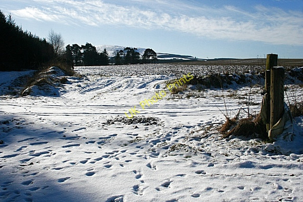 Photo 6"x4" Fields near Knowiemoor Brodiesord c2010