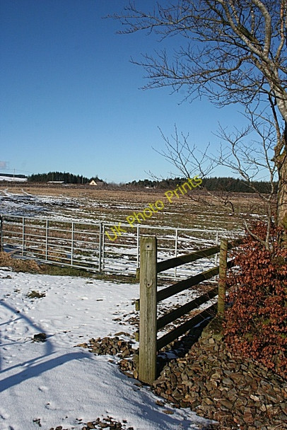 Photo 6"x4" Bogmuchals from Knowiemoor Brodiesord c2010