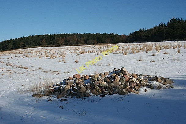 Photo 6"x4" Brae of Fordyce Fordyce c2010