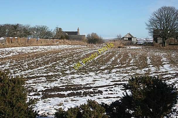 Photo 6"x4" Little Toux Brodiesord c2010