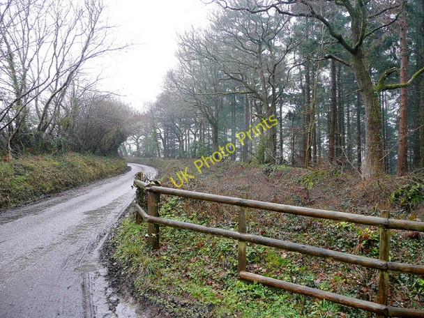 Photo 6"x4" Lane to Westcombe Hill Colebrooke\/SS7700 c2010