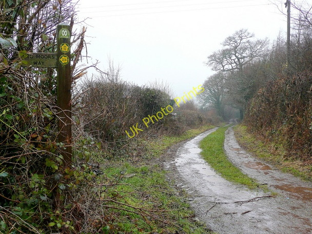 Photo 6"x4" A wet Two Moors Way Colebrooke\/SS7700 c2010