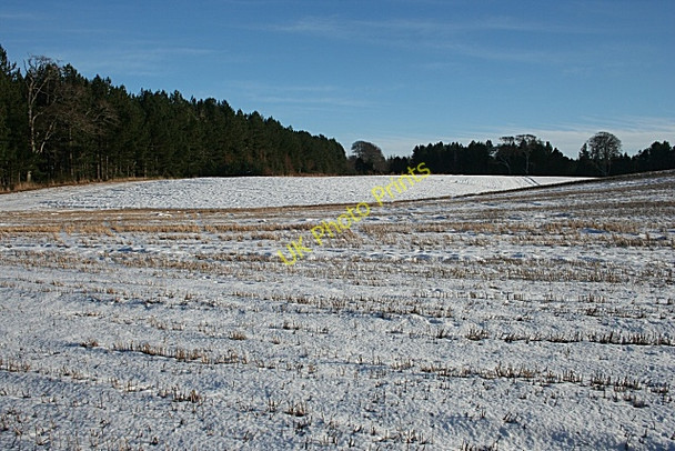 Photo 6"x4" Field near Cullen House Cullen\/NJ5167 c2010 P1