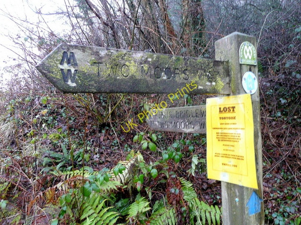 Photo 6"x4" Two Moors Way marker Hillerton c2010