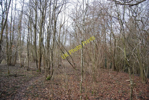 Photo 6"x4" Footpath along the River Line Mountfield\/TQ7320 c2009