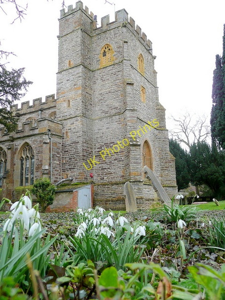 Photo 6"x4" St Andrew's Church, High Ham High Ham c2010 P2