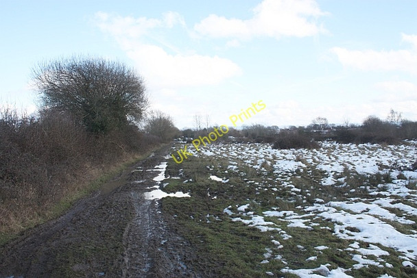 Photo 6"x4" Track along the edge of Castlemorton Common Chandler's Cross\/SO7738 c2010