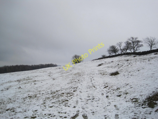 Photo 6"x4" Footpath to Lees Farm Ridley\/NY7963 c2010
